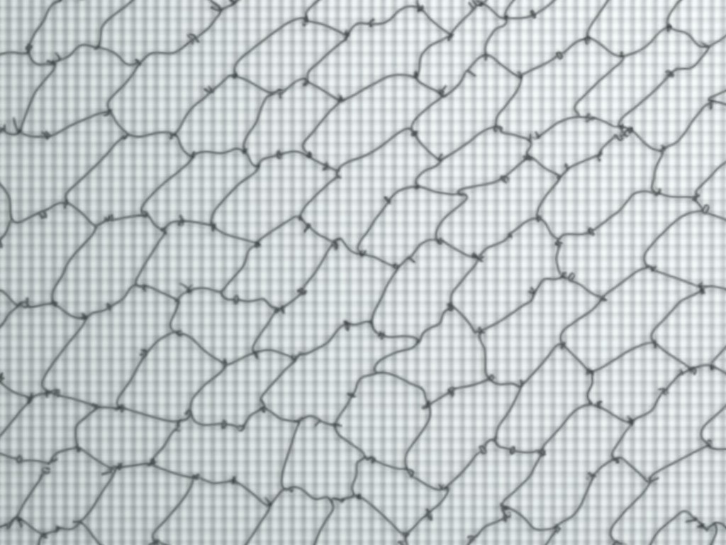 Oem Razor Type Barbed Wire Top Supplier